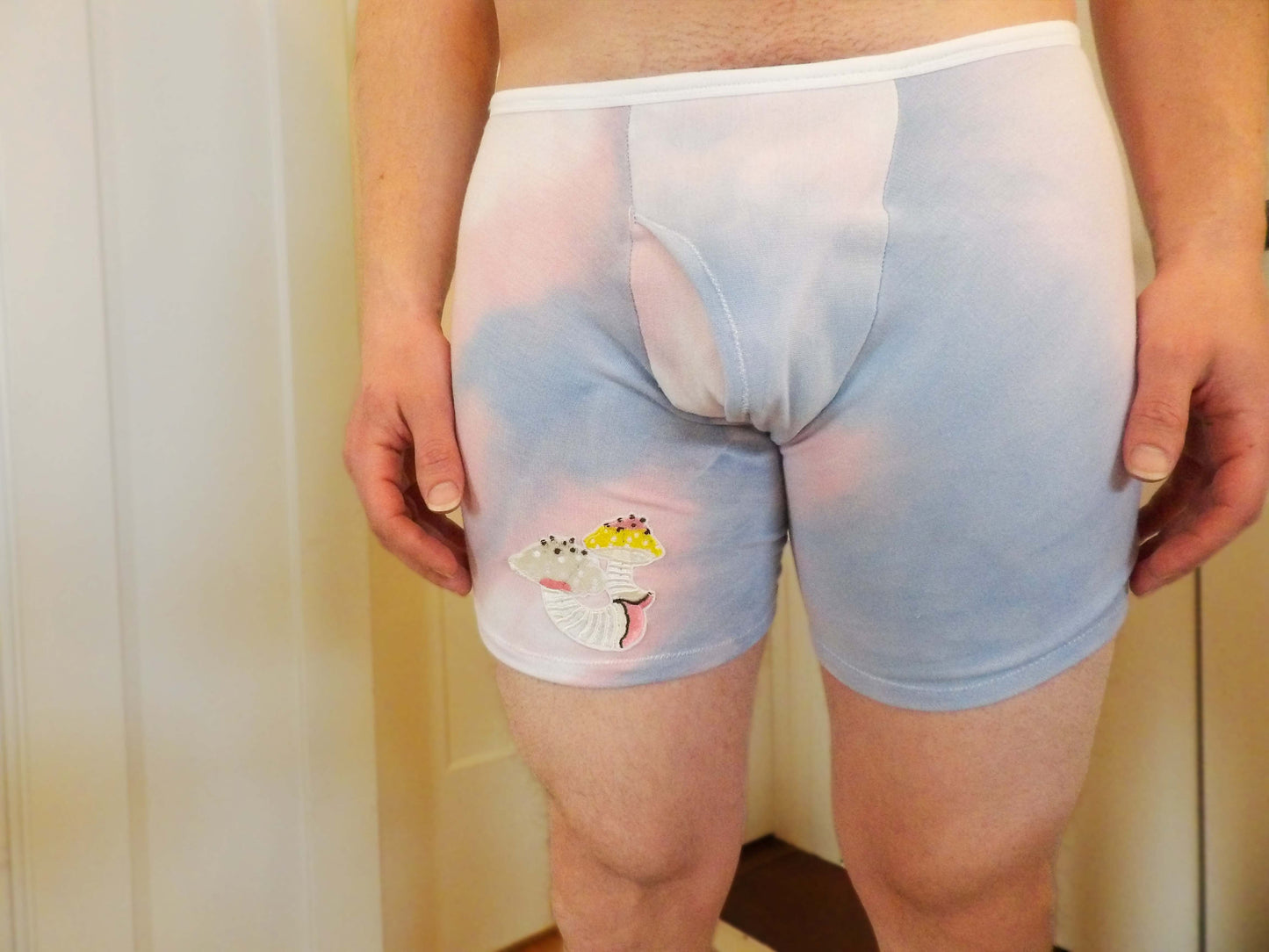 Pastel tie dye and mushrooms Boxer Briefs