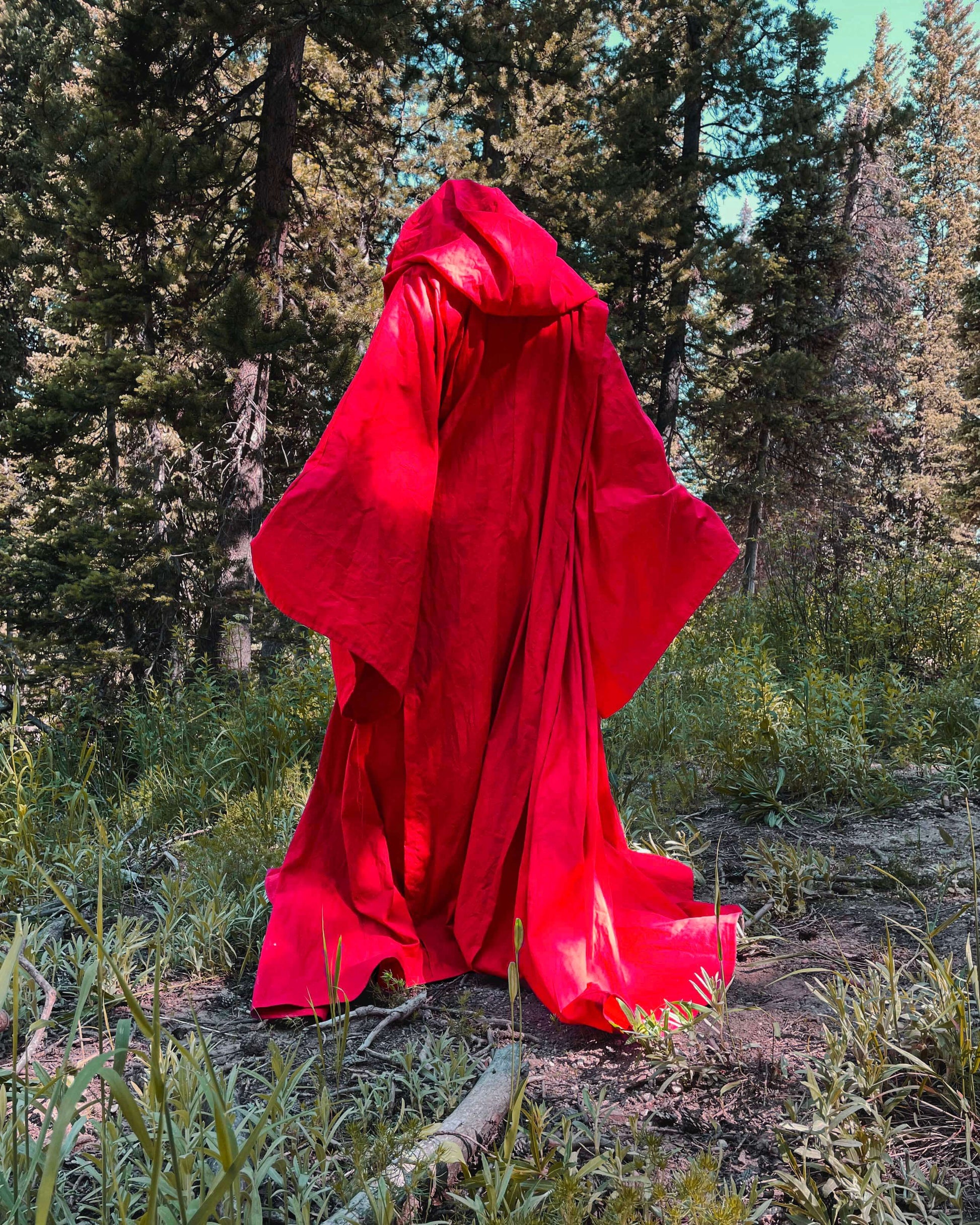 back of red costume full robe in forest