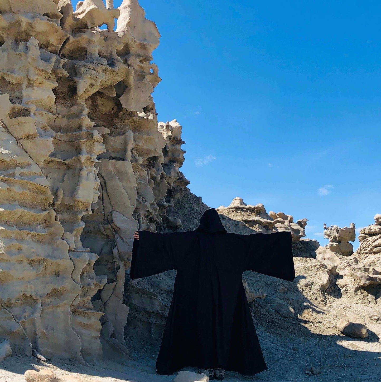 back profile of model in full black robe